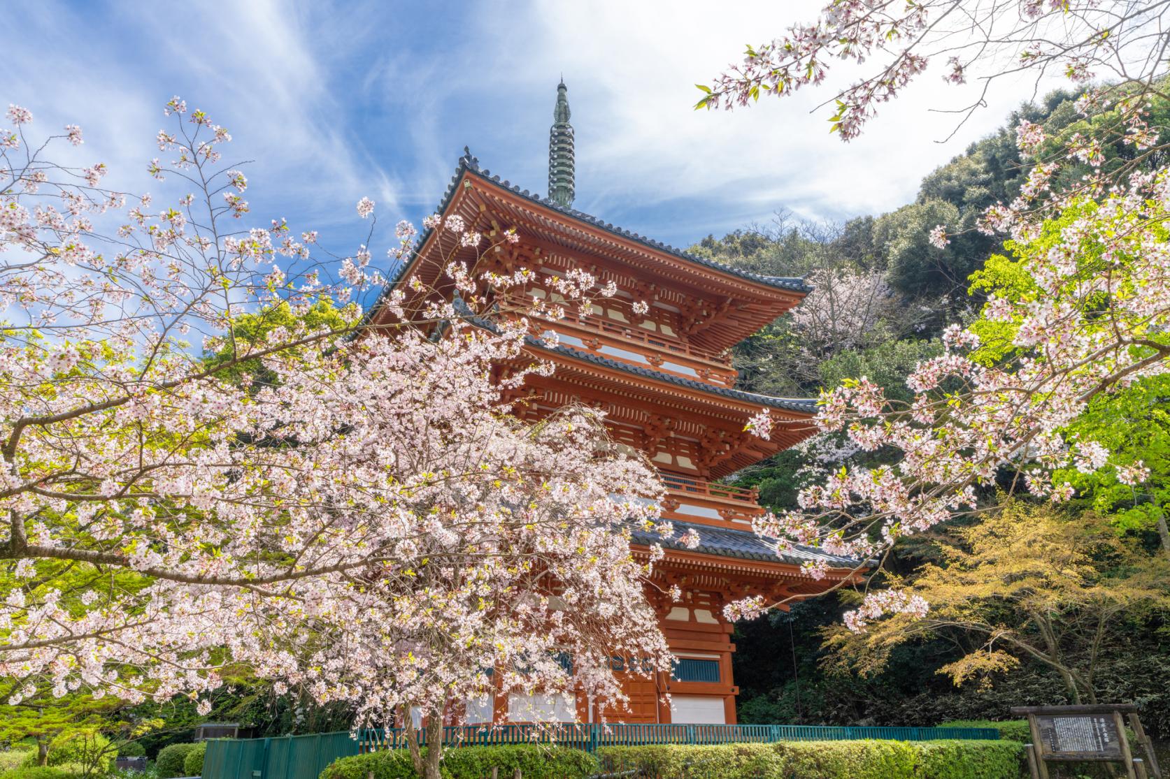 Kiyomizu-dera Temple