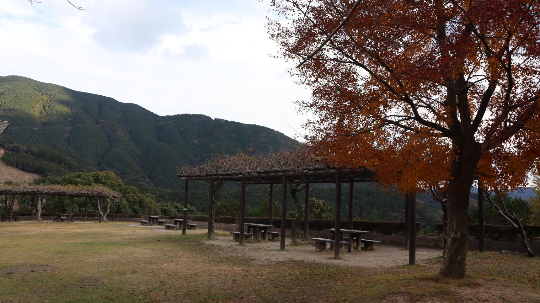 鳴淵ダム　展望台広場