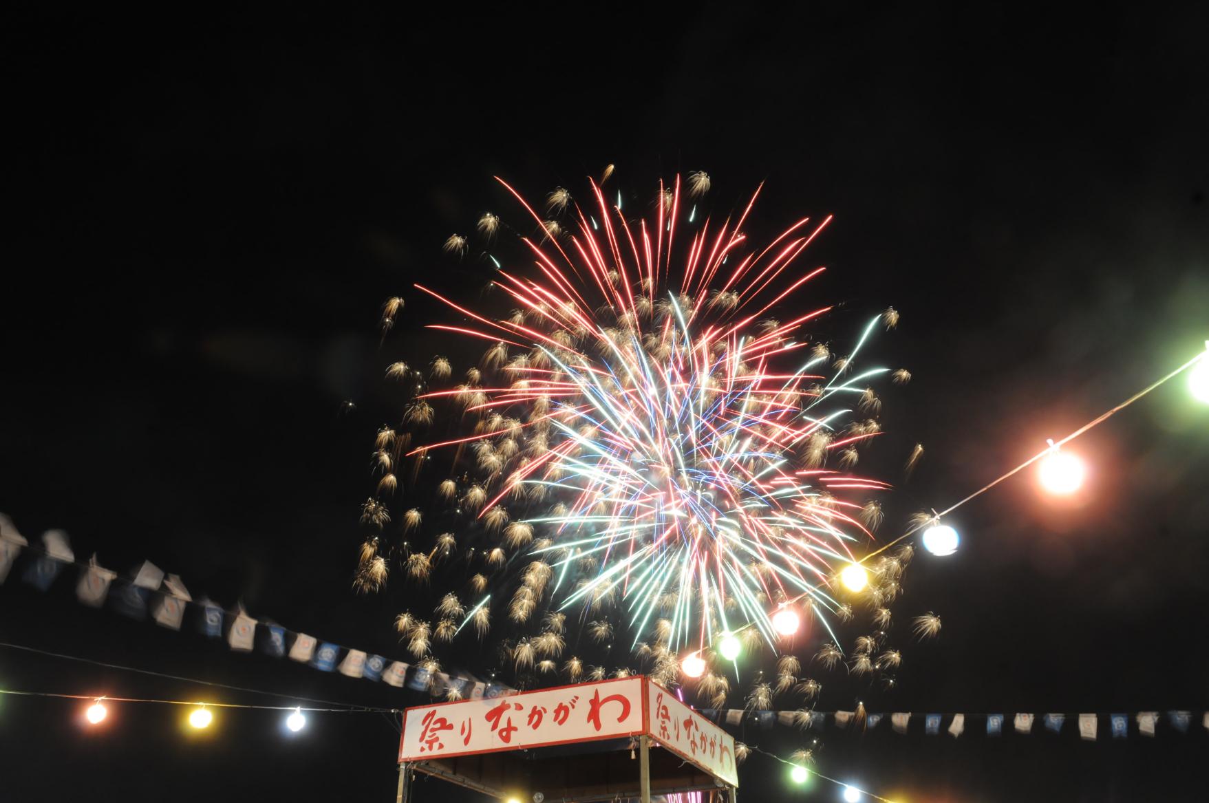 なかがわ市民の祭り-1