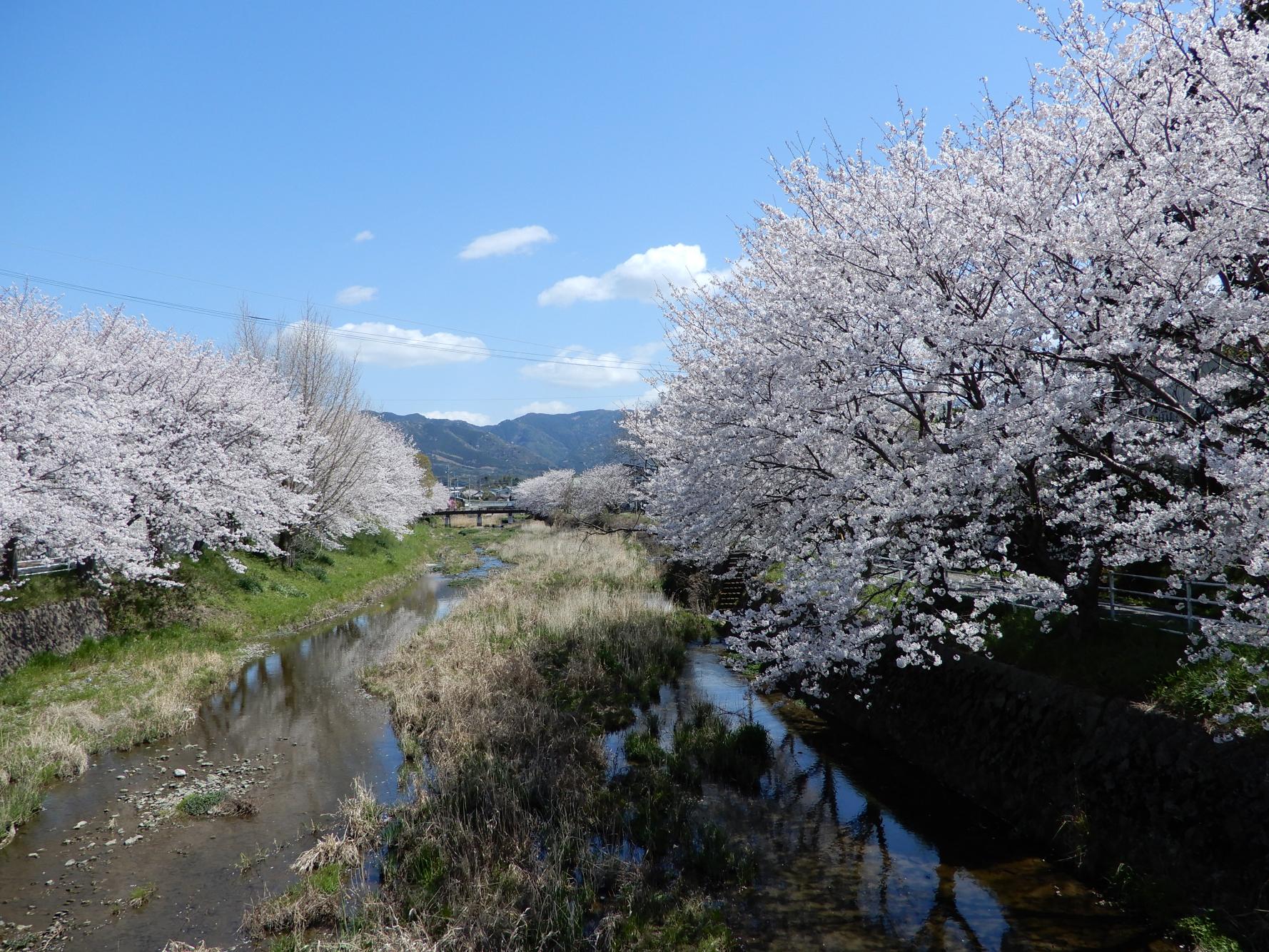 久原川