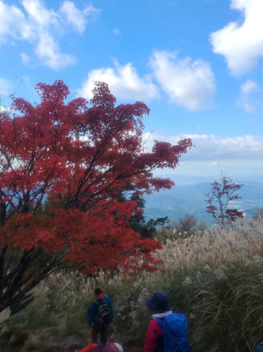 添田町観光ガイドの会-5