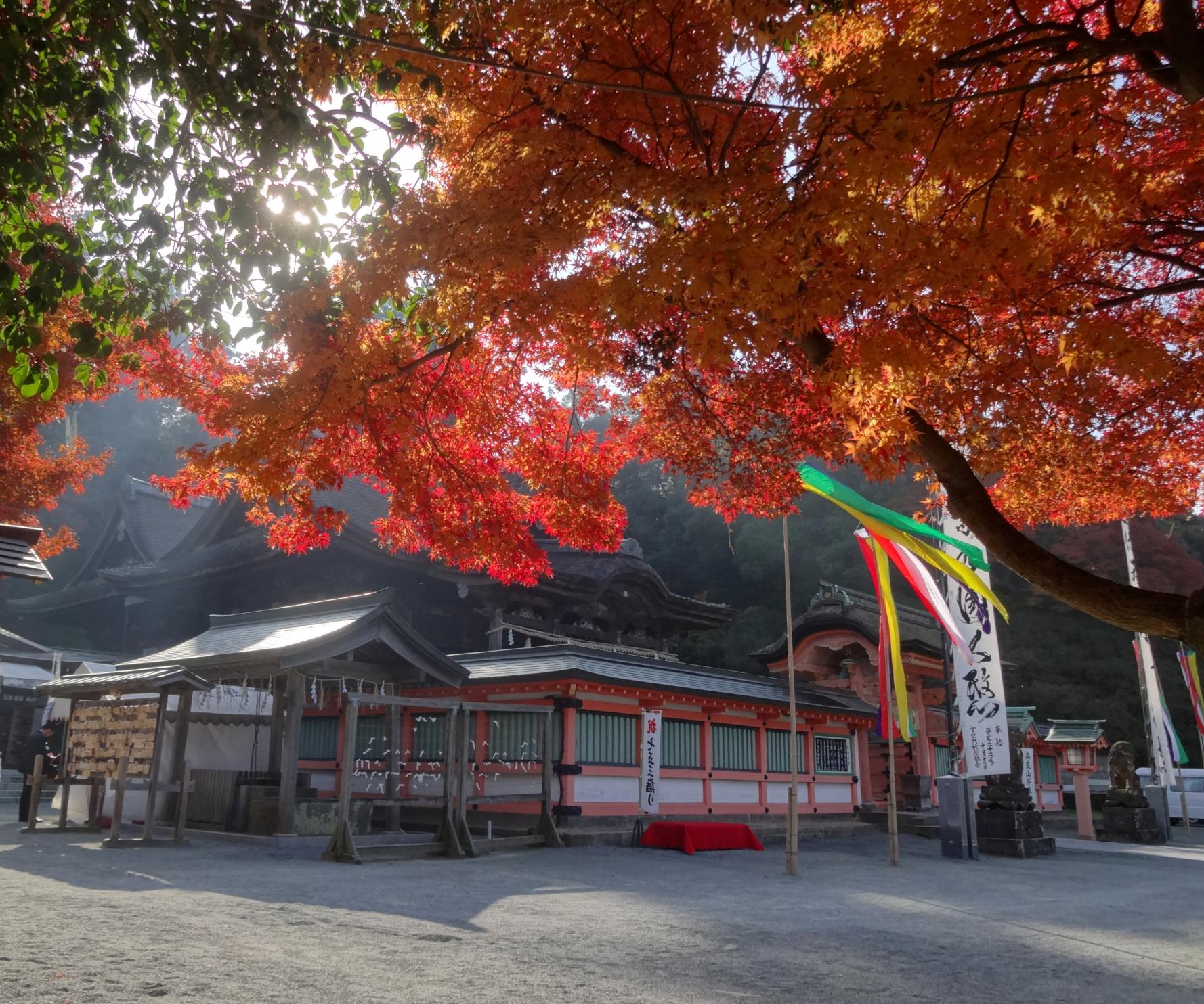 2024年11月10日（日）