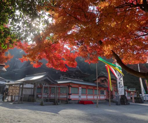 九州オルレ「久留米・高良山コース」秋を感じよう！高良山もみじ狩りオルレ-0