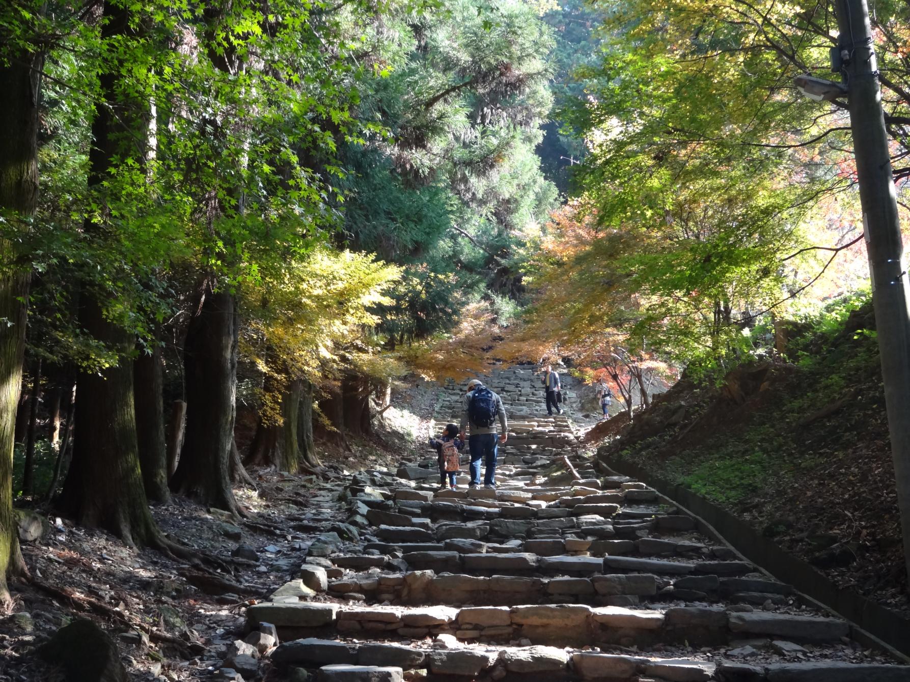 九州オルレ「久留米・高良山コース」秋を感じよう！高良山もみじ狩りオルレ-1