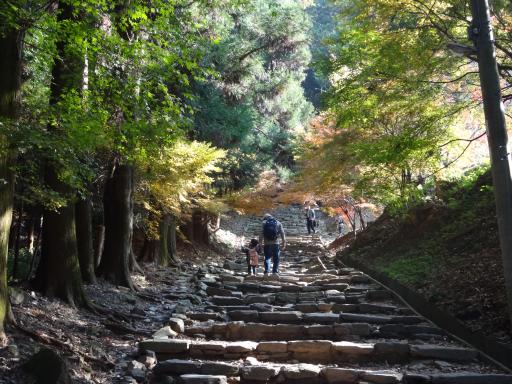 九州オルレ「久留米・高良山コース」秋を感じよう！高良山もみじ狩りオルレ-1