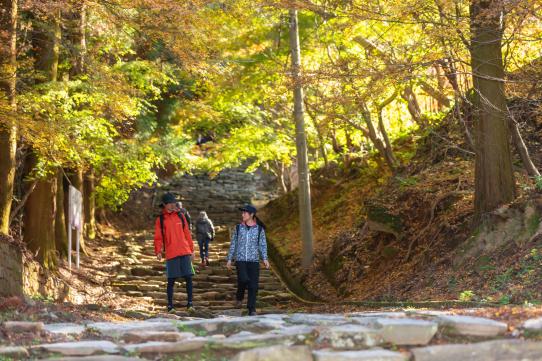 九州オルレ「久留米・高良山コース」秋を感じよう！高良山もみじ狩りオルレ-2