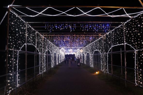 こうげ大池 灯りの祭典 ”灯籠祭×イルミネーション”-0