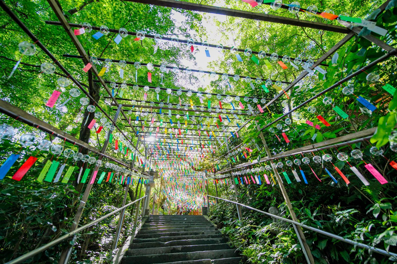 Nyoirinji Temple(Frog Temple) Wind Bell Festival-8