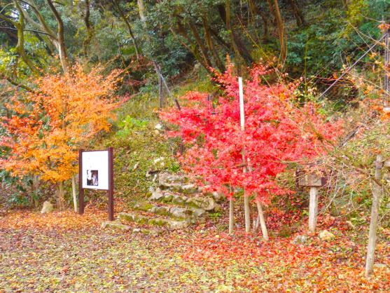 Kanmabu Park and its Fall Foliage-1