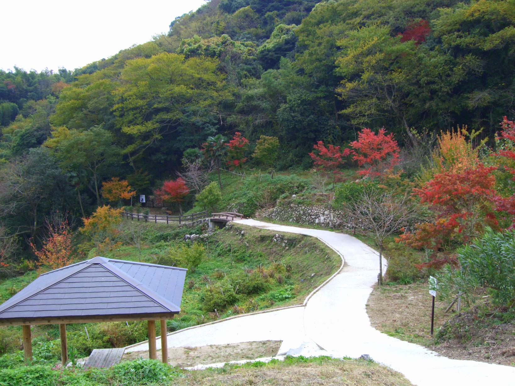 Kanmabu Park and its Fall Foliage