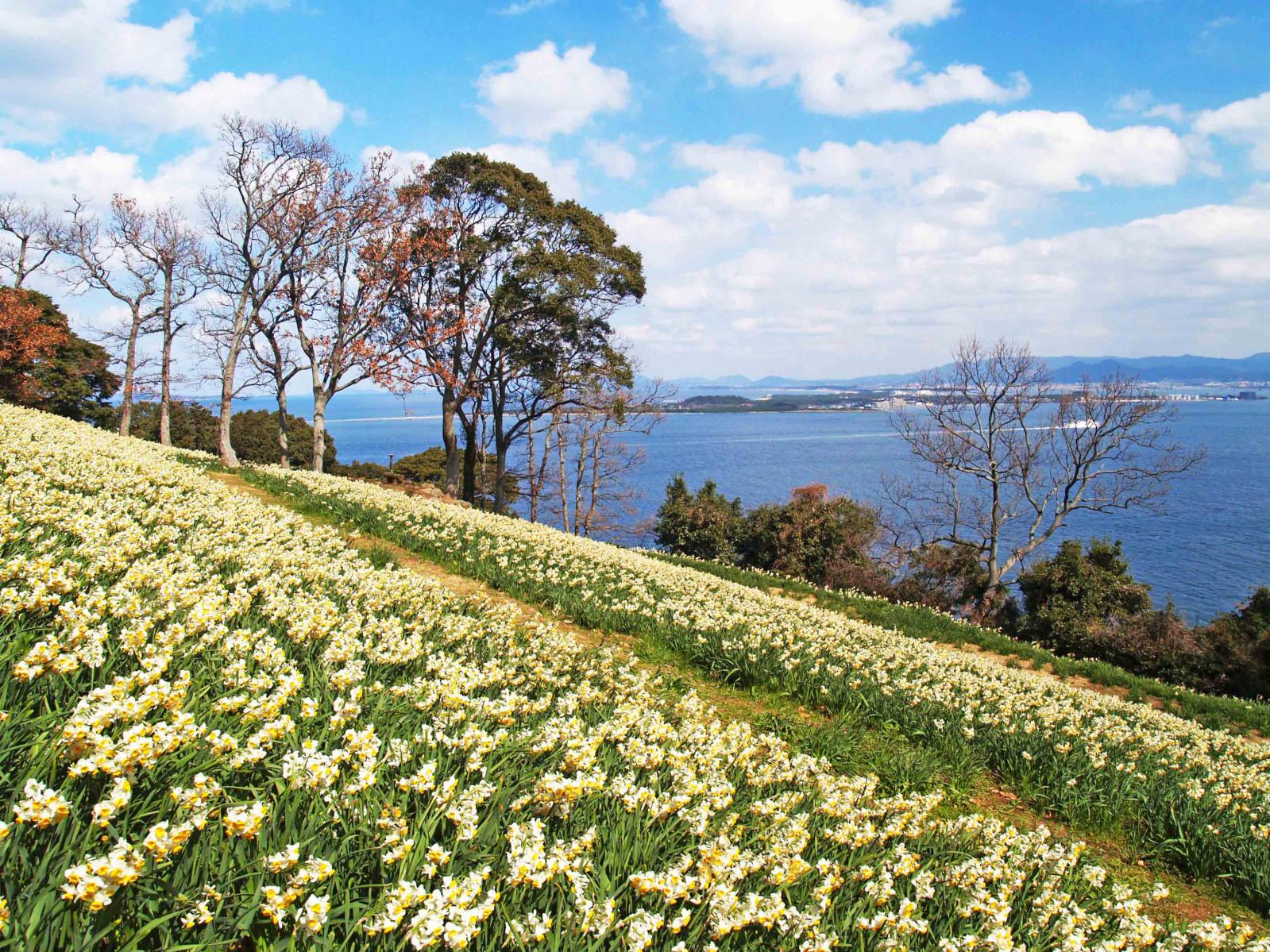 Nokonoshima Island Park-2