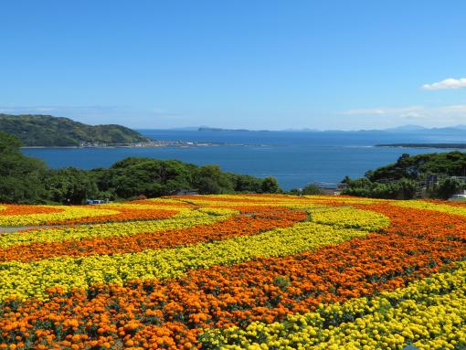 Nokonoshima Island Park-3