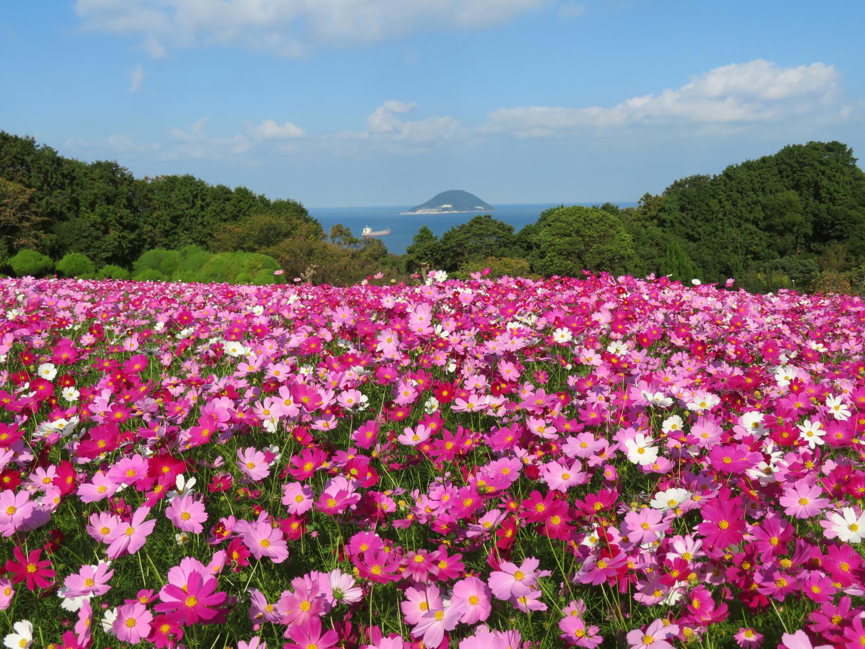 能古岛海岛公园