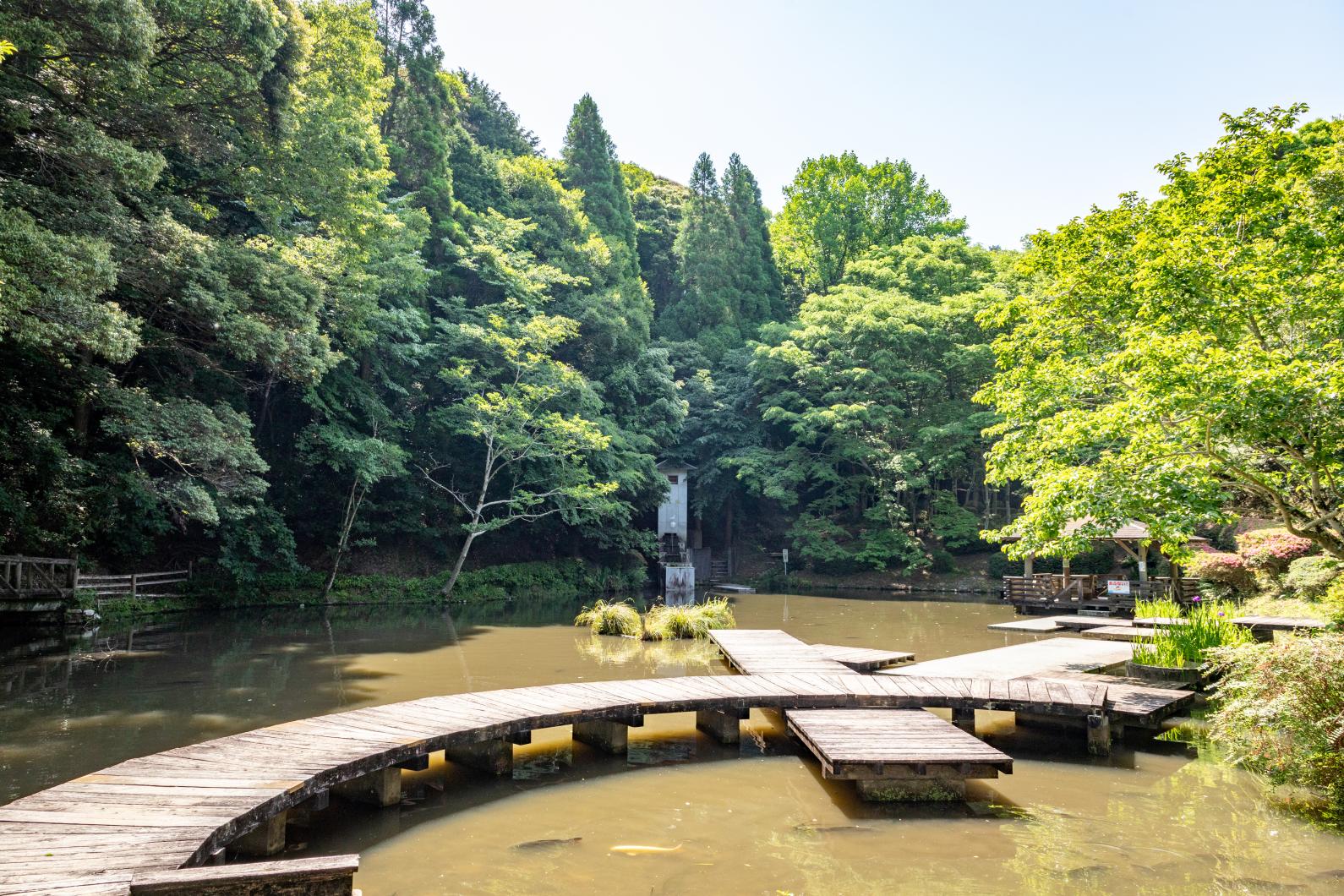 四王寺県民の森（ワンヘルスの森）-3