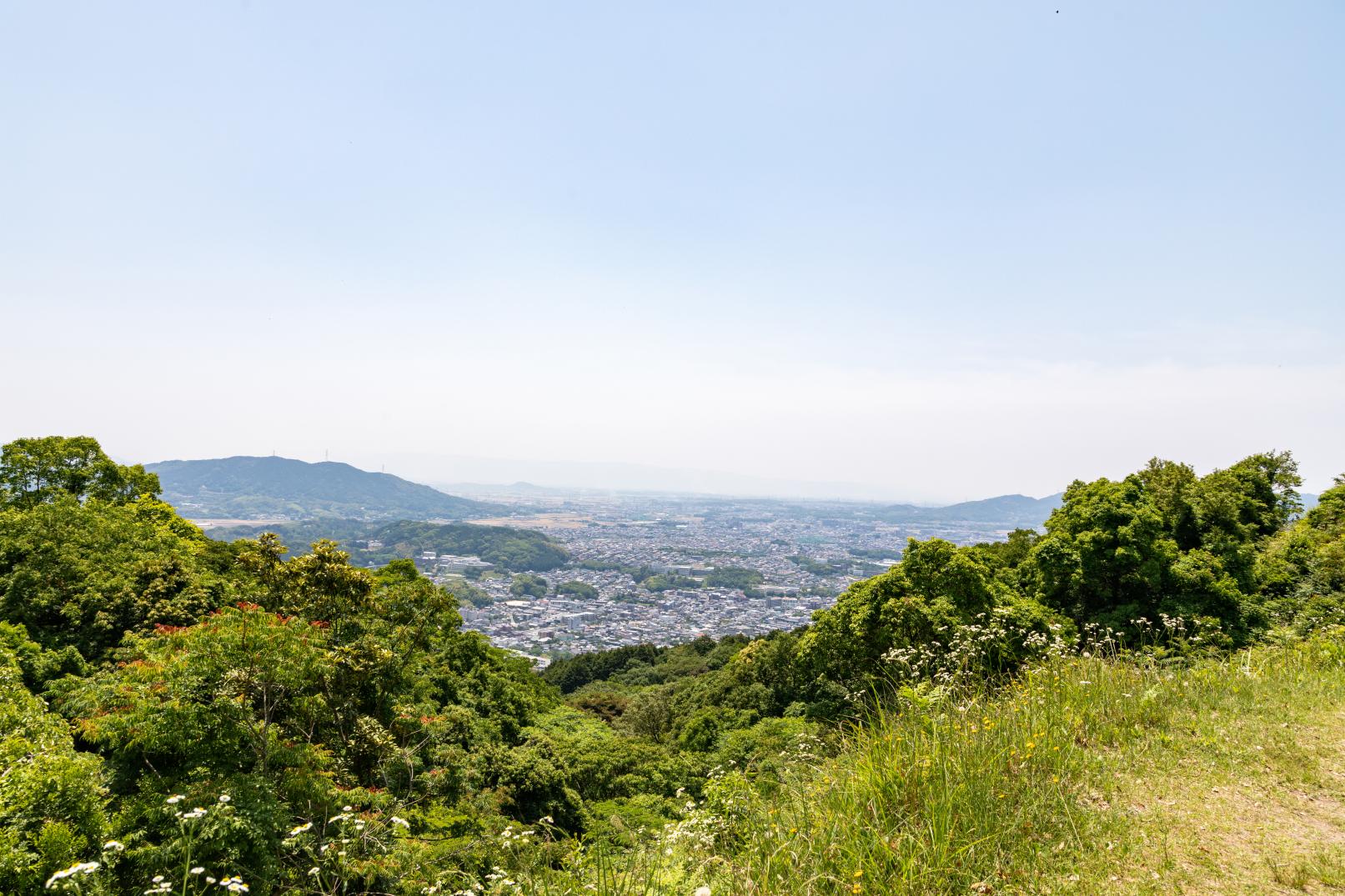 四王寺県民の森（ワンヘルスの森）-5