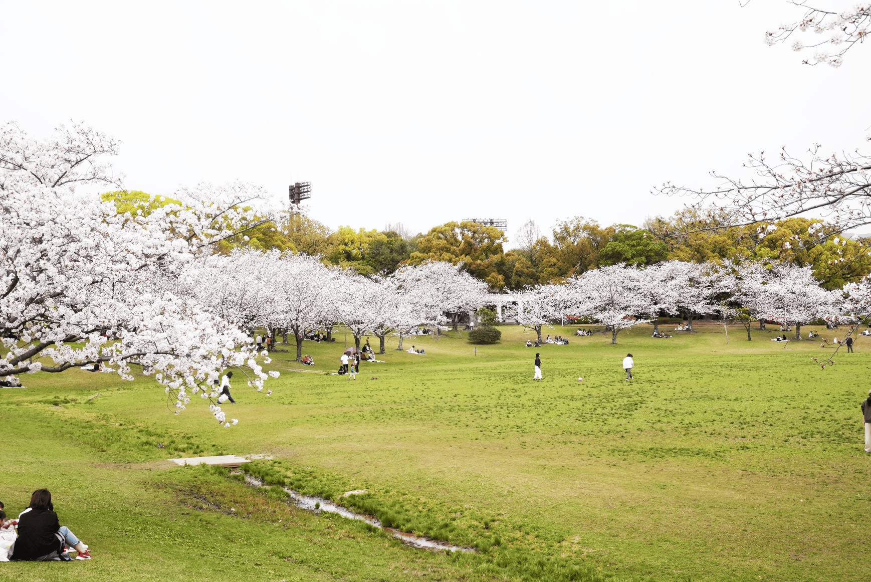 県営春日公園-4