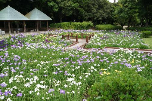 県営春日公園-5