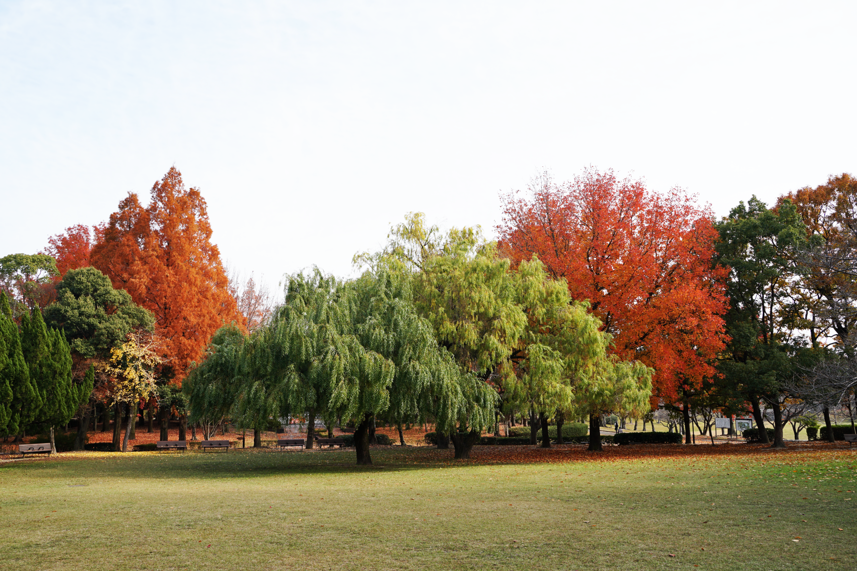 県営春日公園-2