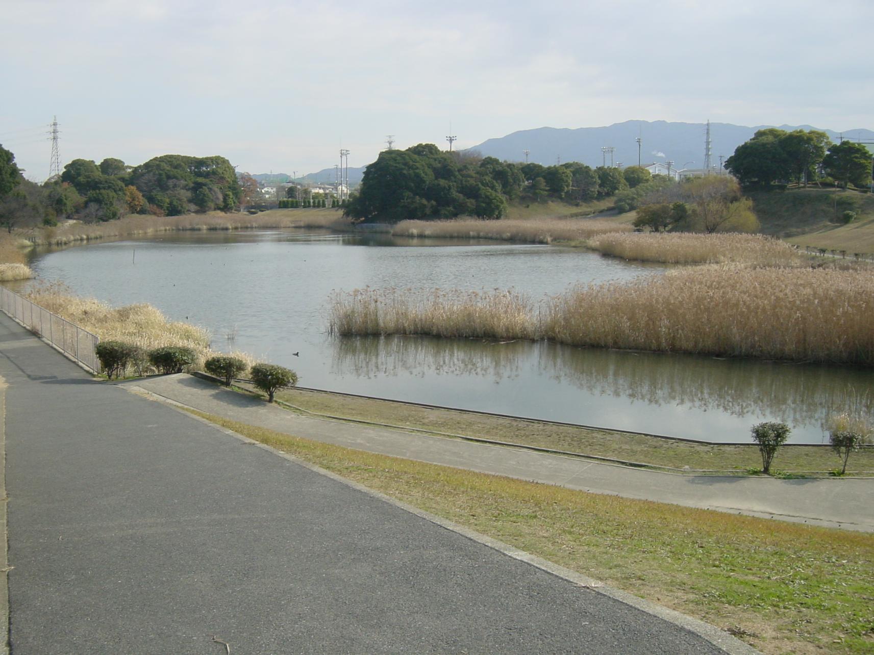 千鳥ヶ池公園