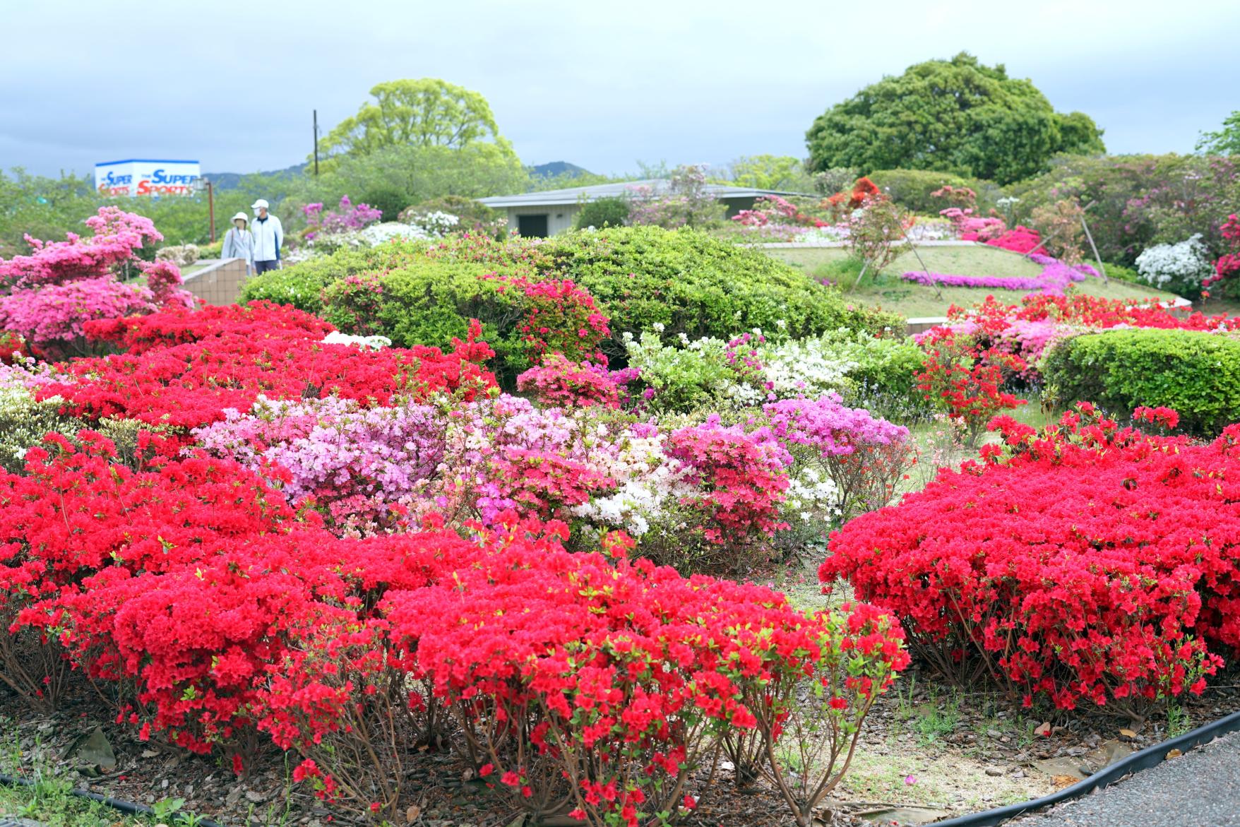 久留米百年公園