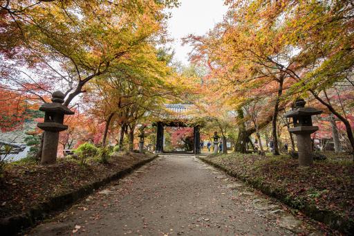 Akizuki Castle Ruins-1