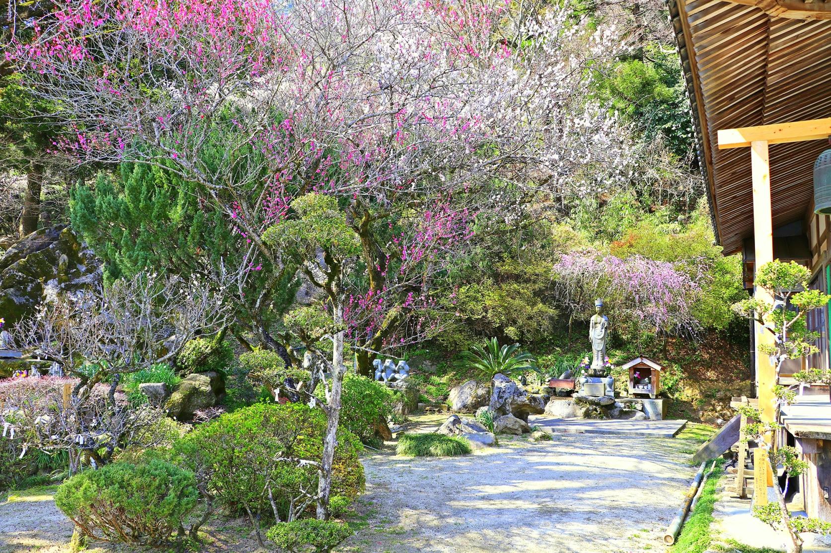 神宮院