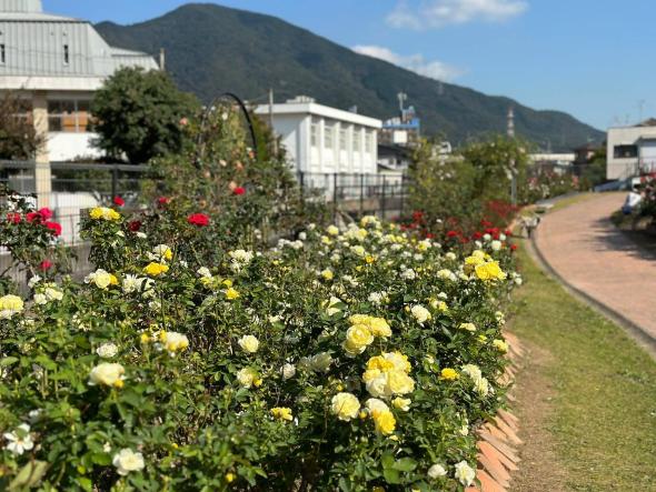 花農丘公園　北九州市立総合農事センター　-4