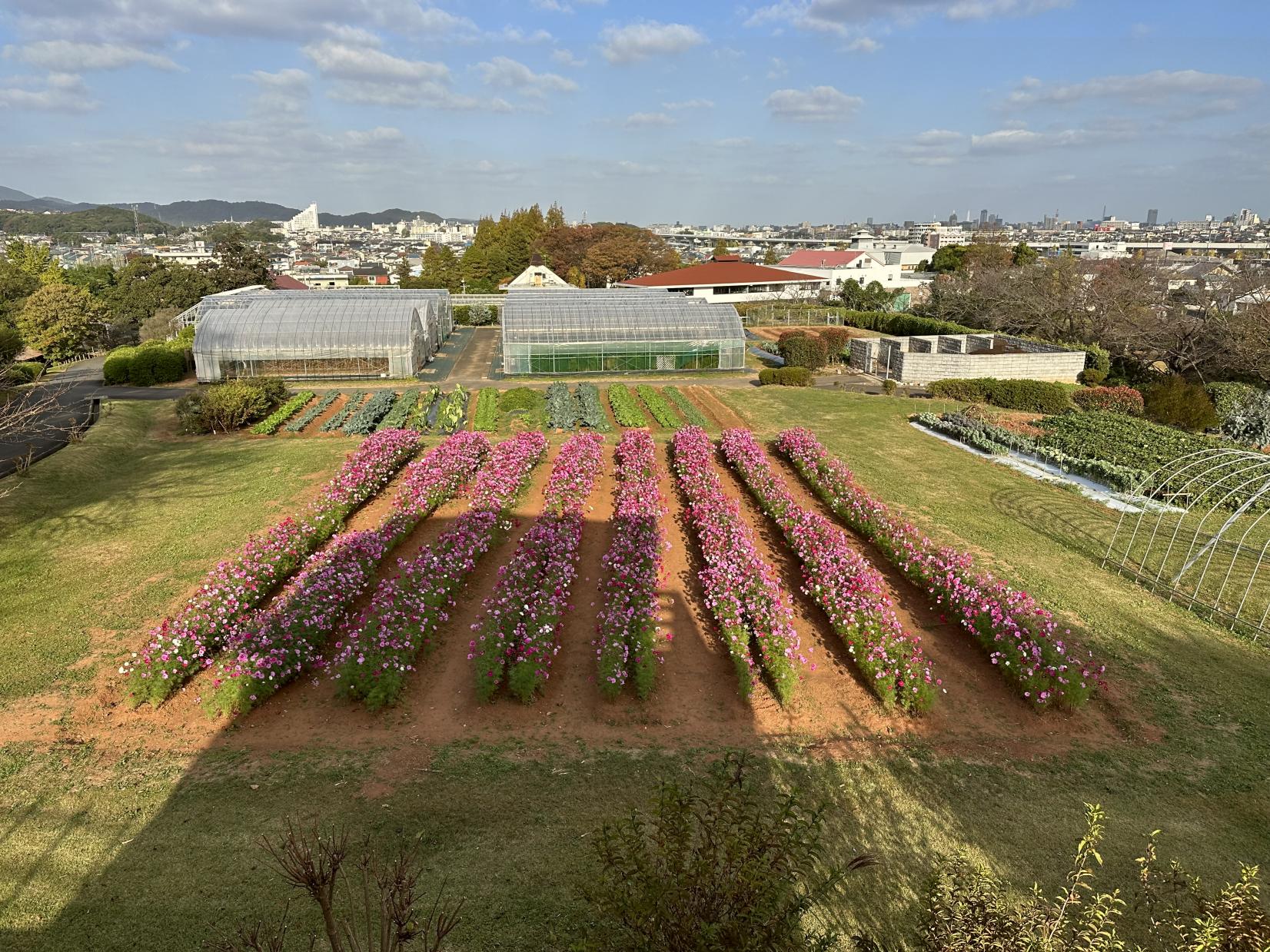 花農丘公園　北九州市立総合農事センター　-2