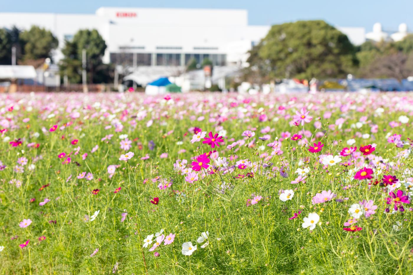 キリンビール 福岡工場 | 体験プラン | 【公式】福岡県の観光/旅行情報サイト「クロスロードふくおか」