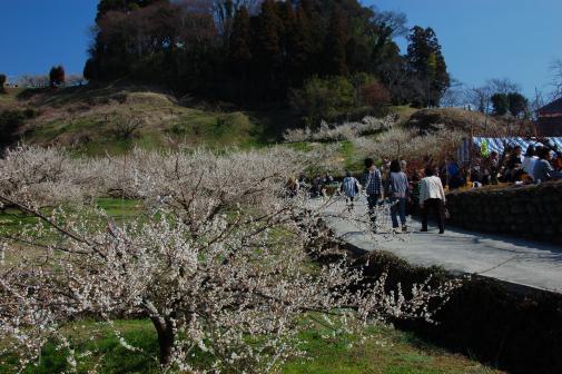 Yume Tachibana Plum Blossom Viewing Festival-2