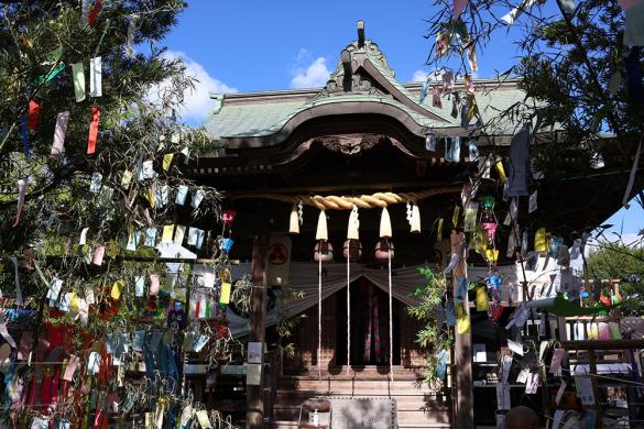 Summer Festival at Tanabata Shrine-2