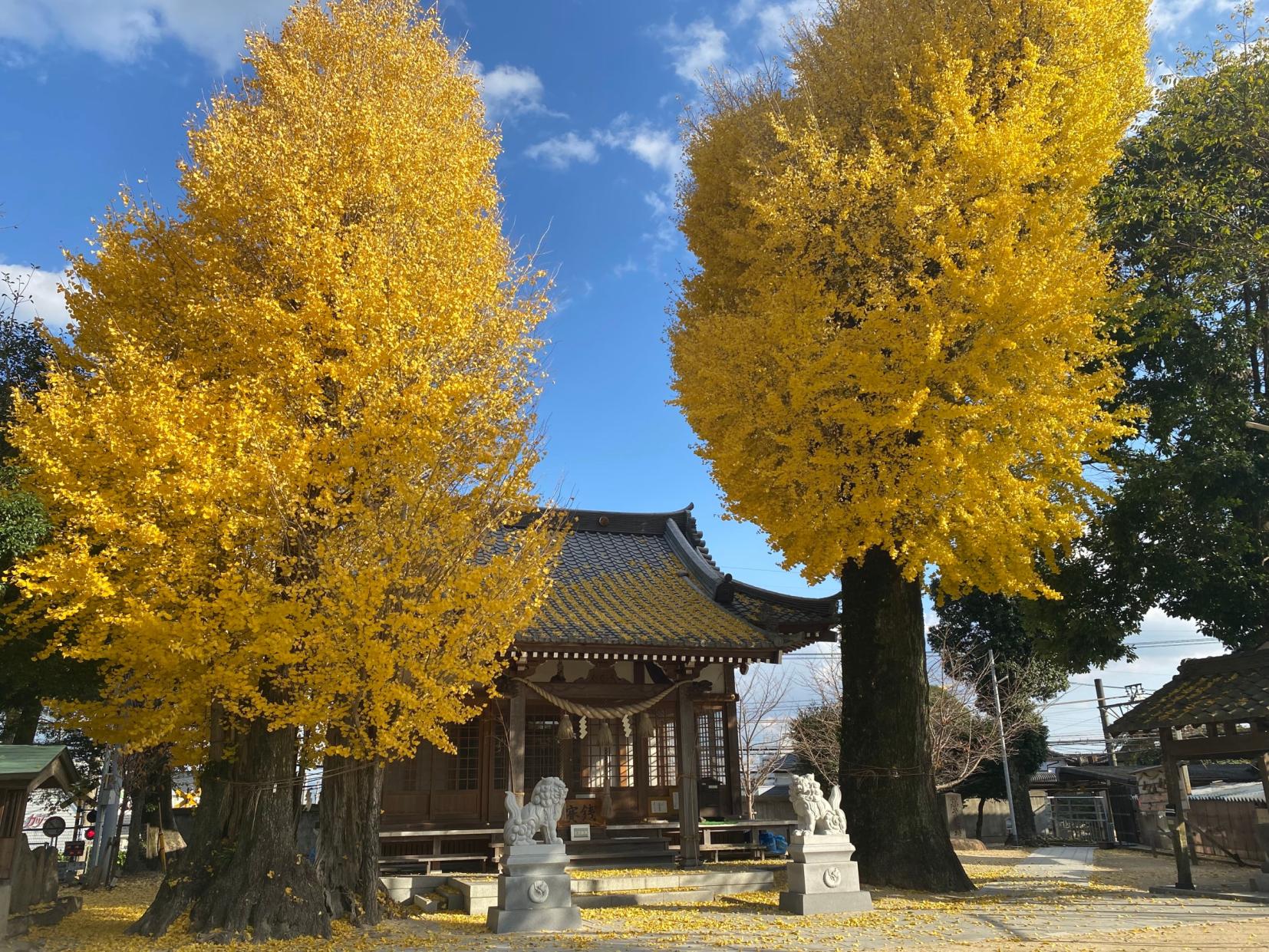 津古八龍神社の紅葉