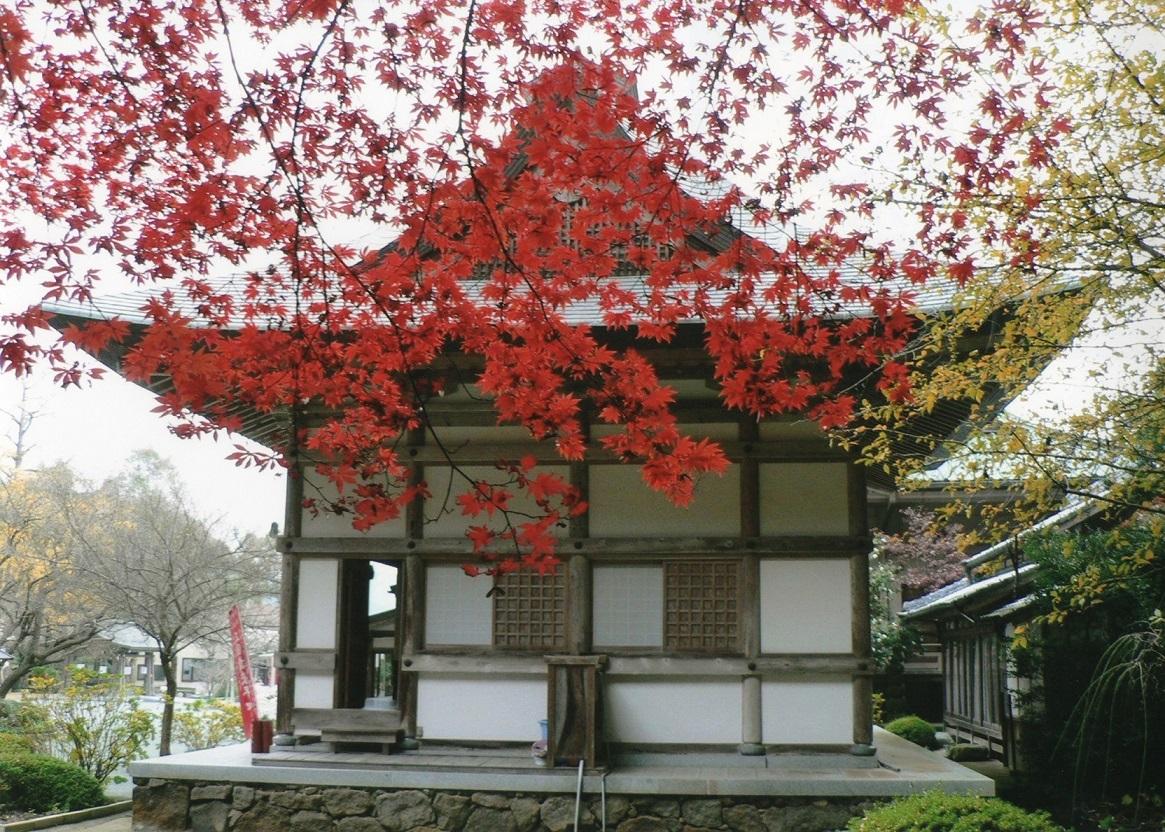 鎮國寺の紅葉-1