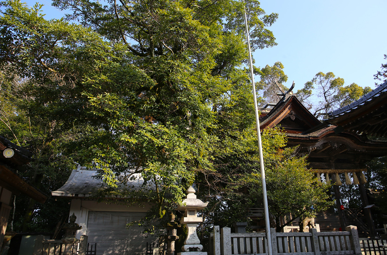 大富神社-7