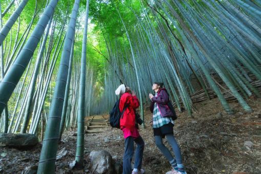 九州オルレ「みやま・清水山コース」秋の味覚オルレ-0