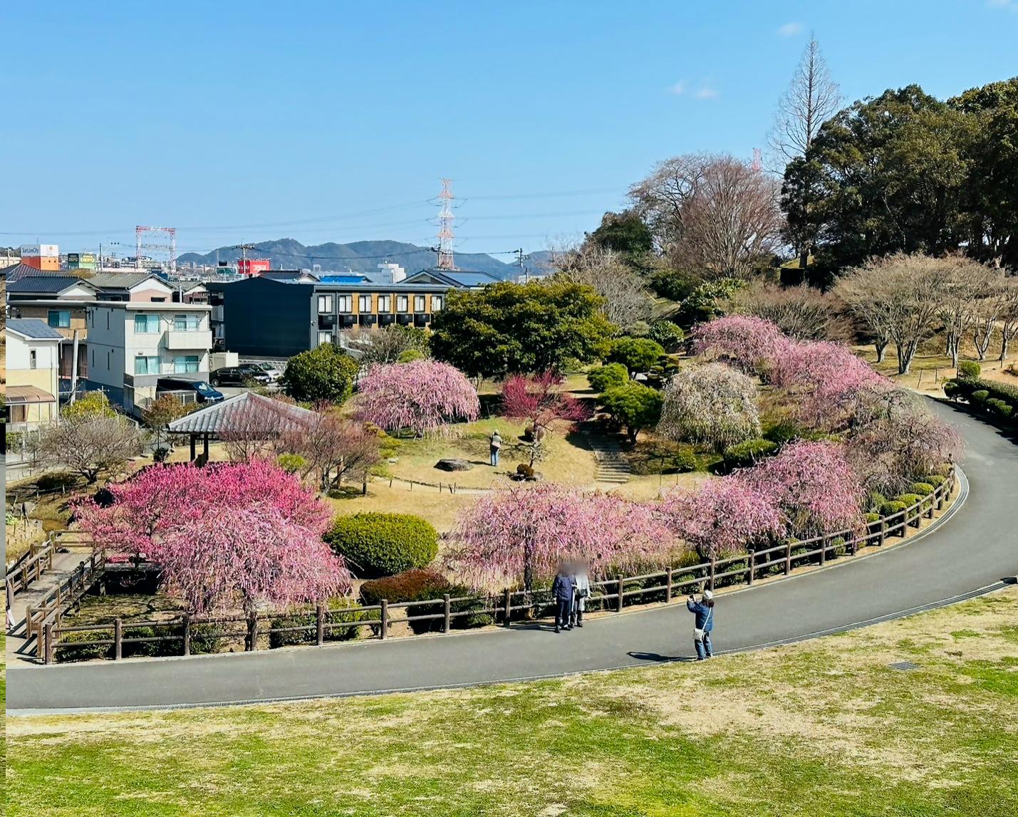 【北九州市立総合農事センター】梅まつり