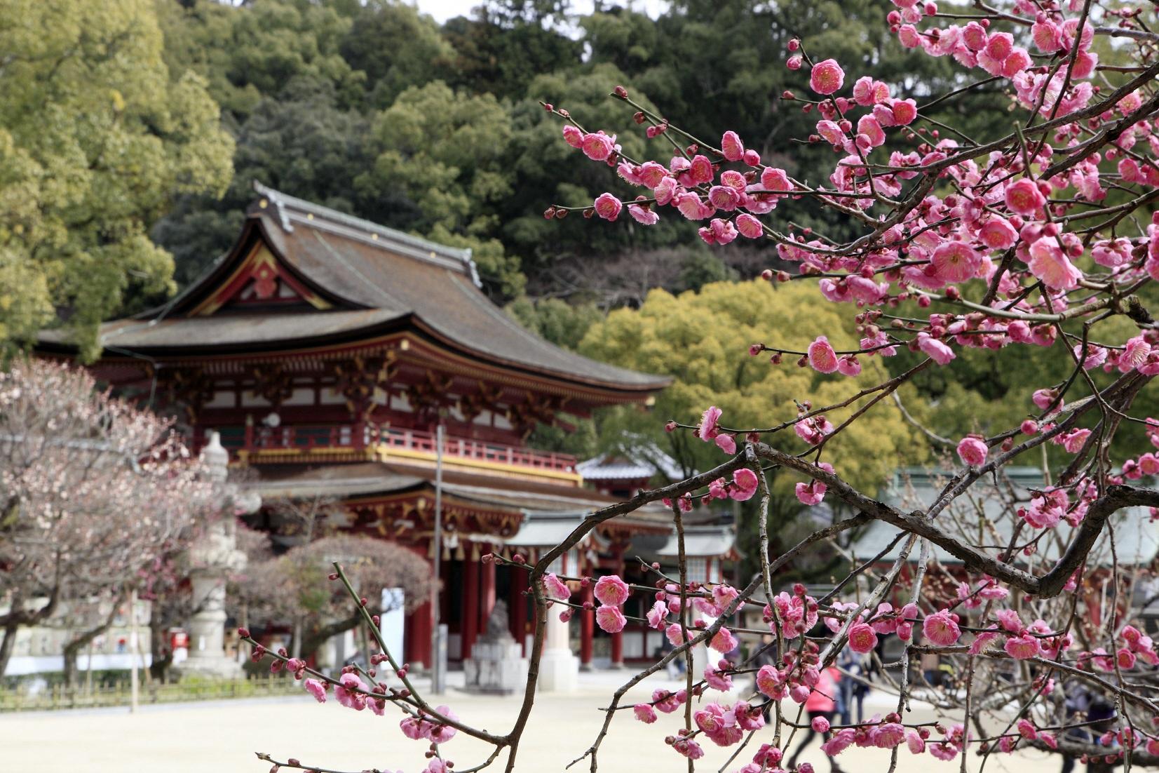 写真：太宰府市