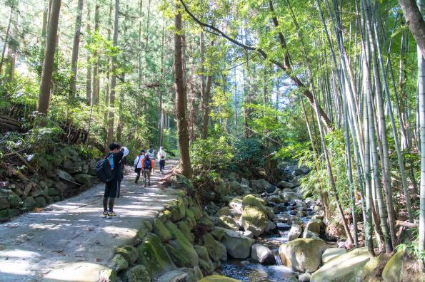 ［Forest Therapy Base Ukiha］Walking Trail at the Headwaters of the Geise-0