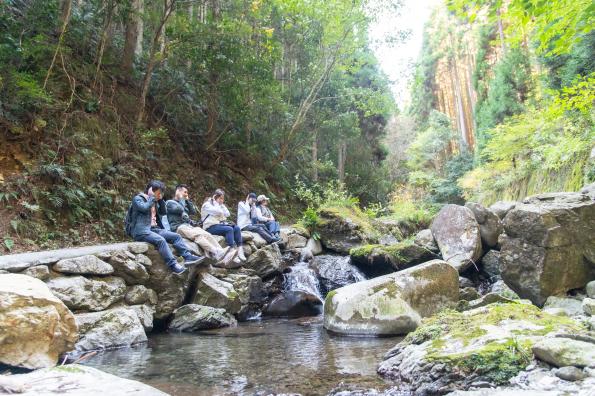 ［Forest Therapy Base Ukiha］Walking Trail at the Headwaters of the Geise-1