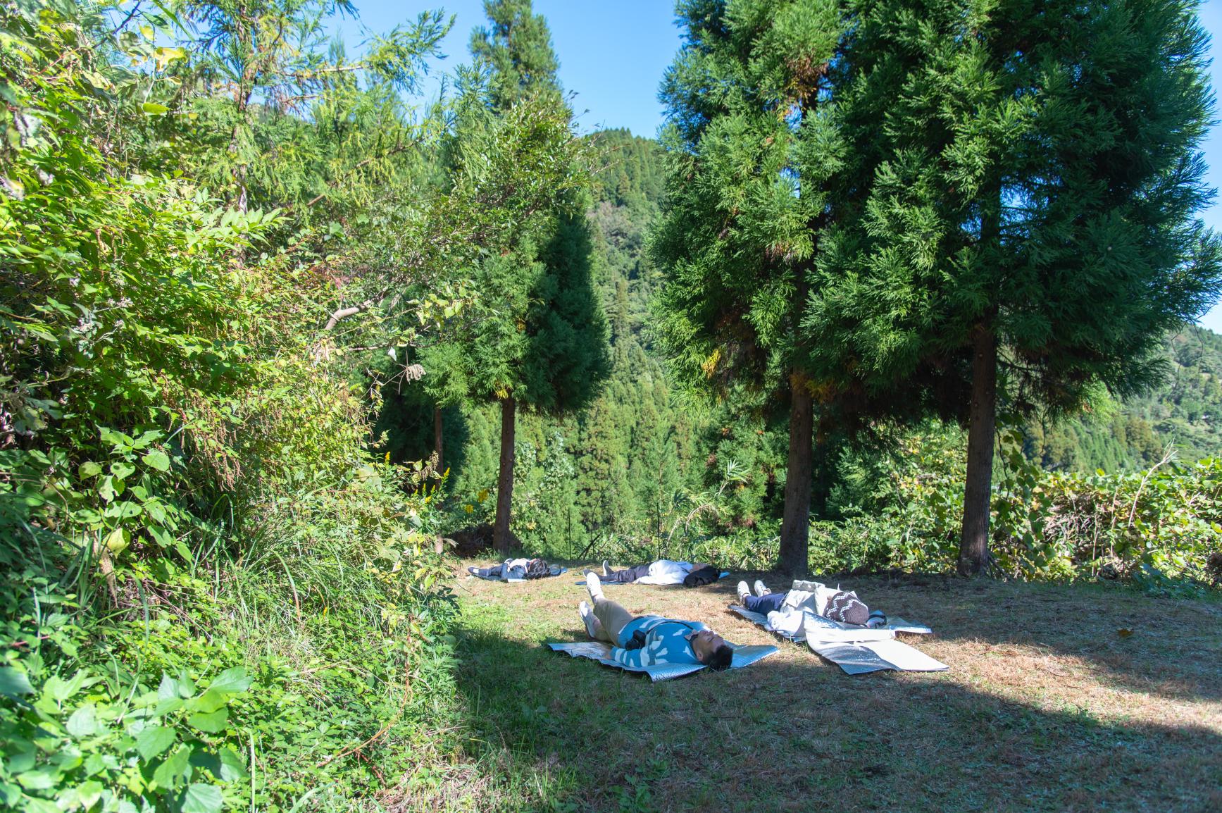 ［Forest Therapy Base Ukiha］Walking Trail at the Headwaters of the Geise-3