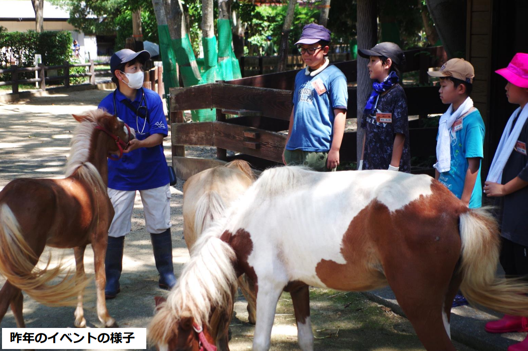 【海の中道海浜公園】動物の森「1日飼育体験開催」-1