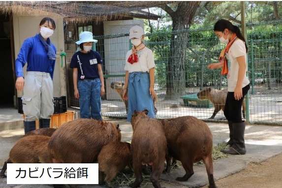 【海の中道海浜公園】動物の森「1日飼育体験開催」-1