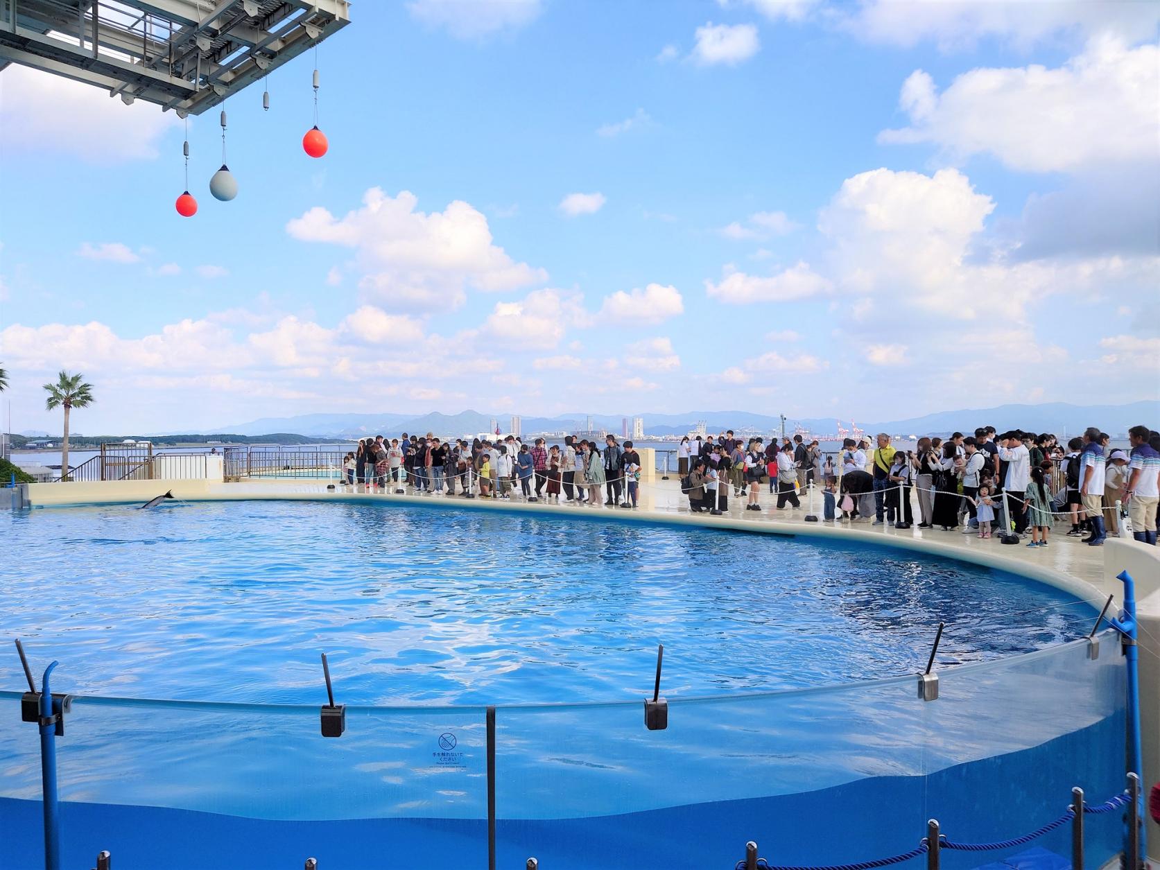 感謝祭【マリンワールド海の中道】-0