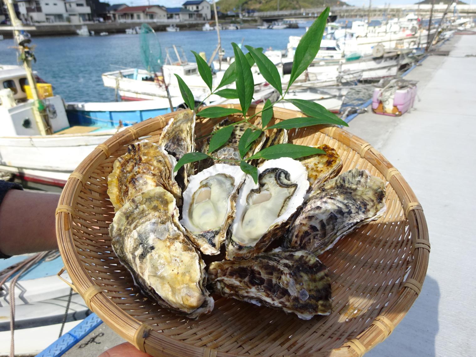 津屋崎千軒かき特売会