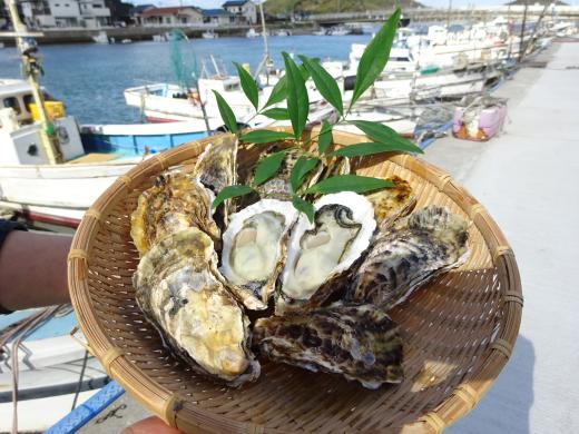 津屋崎千軒かき特売会-0