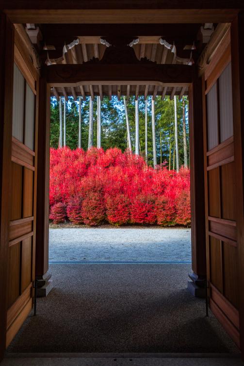 呑山觀音寺01